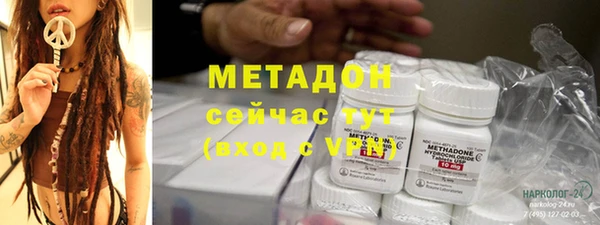 гашик Ельня