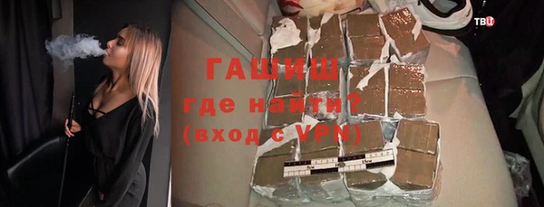 гашик Ельня