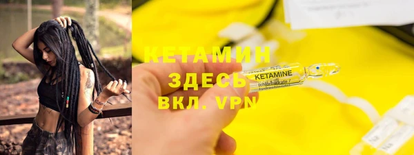 гашик Ельня