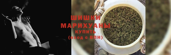 гашик Ельня