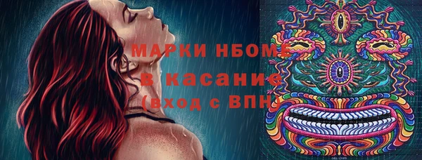 гашик Ельня