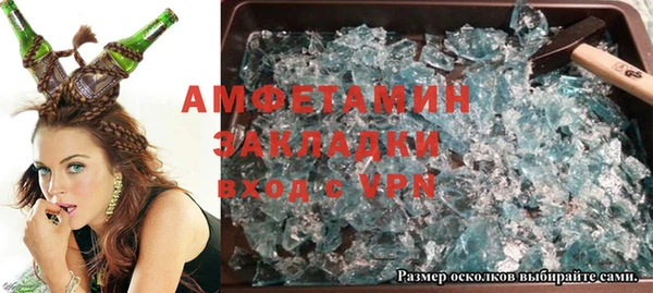 гашик Ельня