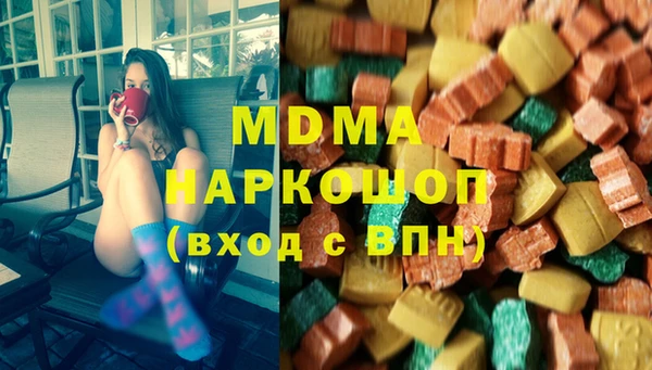 гашик Ельня