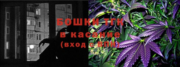 гашик Ельня
