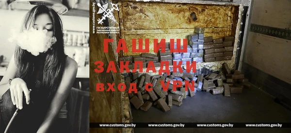гашик Ельня