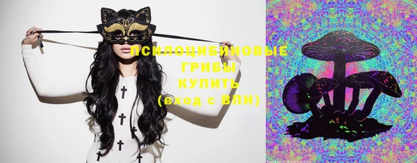 гашик Ельня