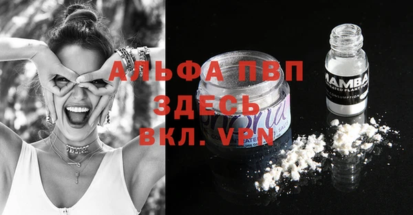 СК Елабуга