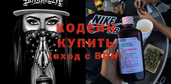 гашик Ельня