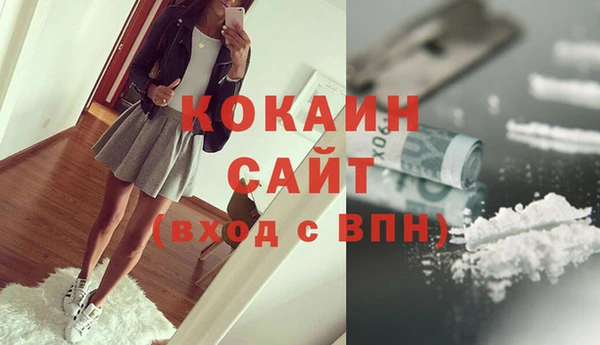 гашик Ельня