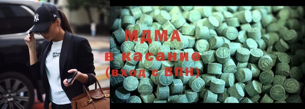 гашик Ельня