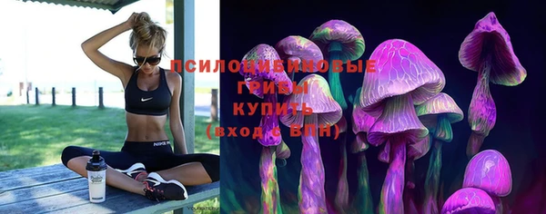 СК Елабуга